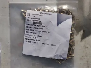 (250) Boeing BAC15FT6KE7C Rivets [GKB]